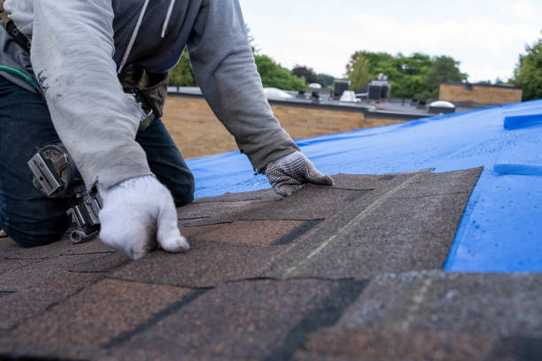 Best Roof Maintenance Services  in Bigfoot, TX