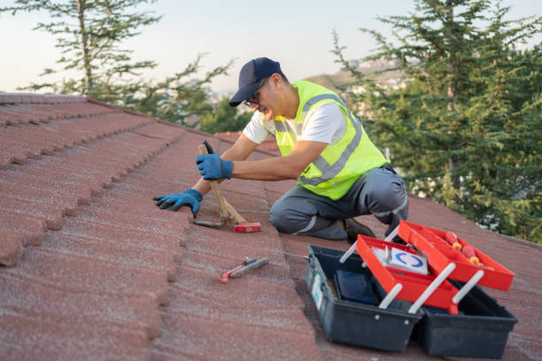 Best Sealant for Roof  in Bigfoot, TX